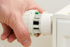 Wester Deloraine central heating repair costs